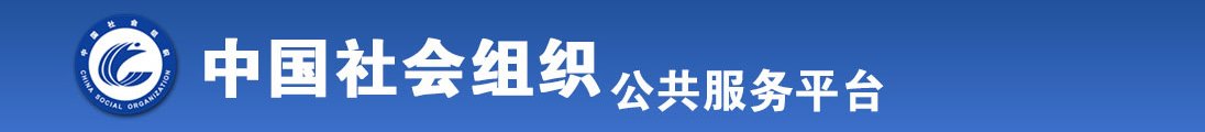 扩屄视频艺术网站全国社会组织信息查询